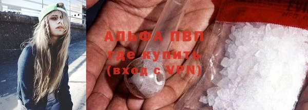 стафф Вяземский