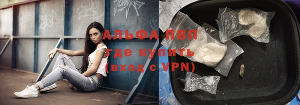 крисы Вязьма