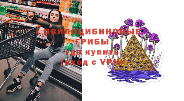 стафф Вяземский