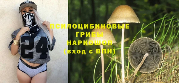 дживик Вязники