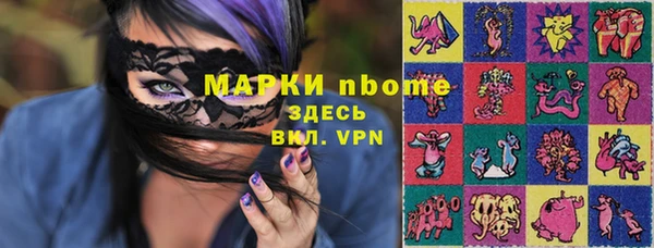 крисы Вязьма