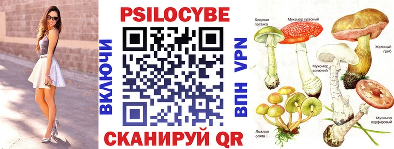 kraken как зайти  Волоколамск  Галлюциногенные грибы Psilocybine cubensis 